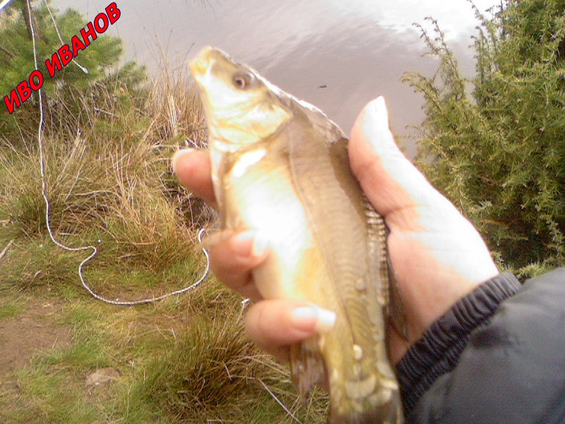 Photo-0002