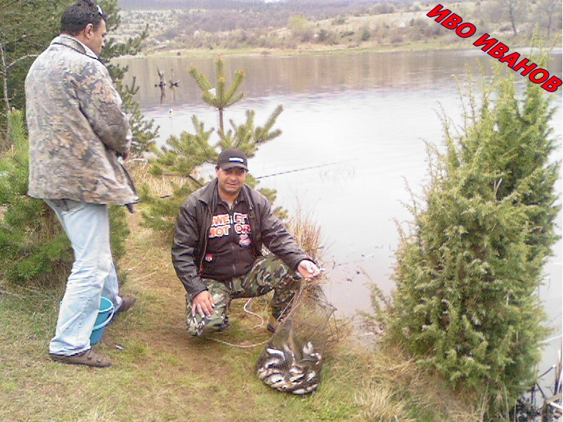 Photo-0003