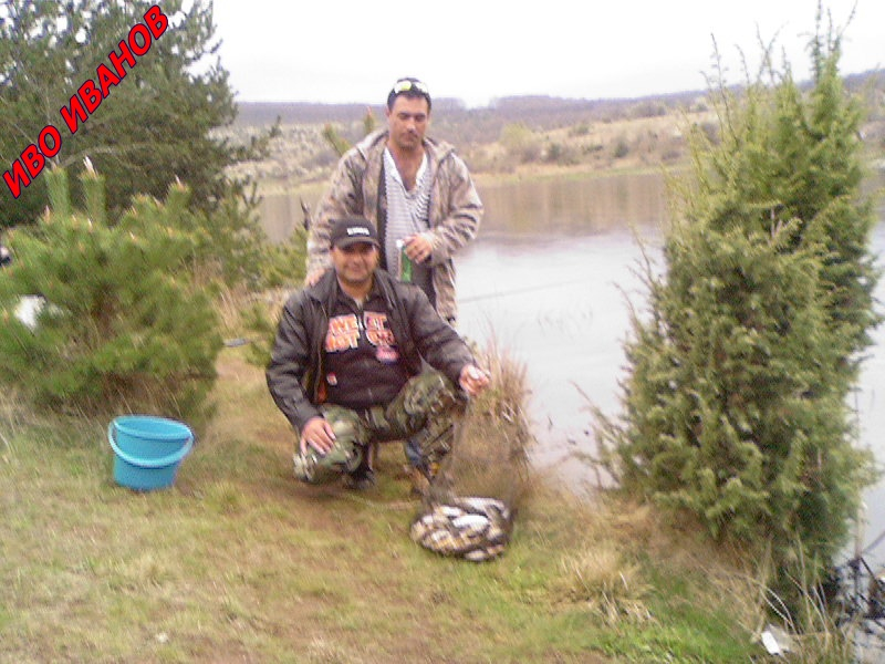 Photo-0004