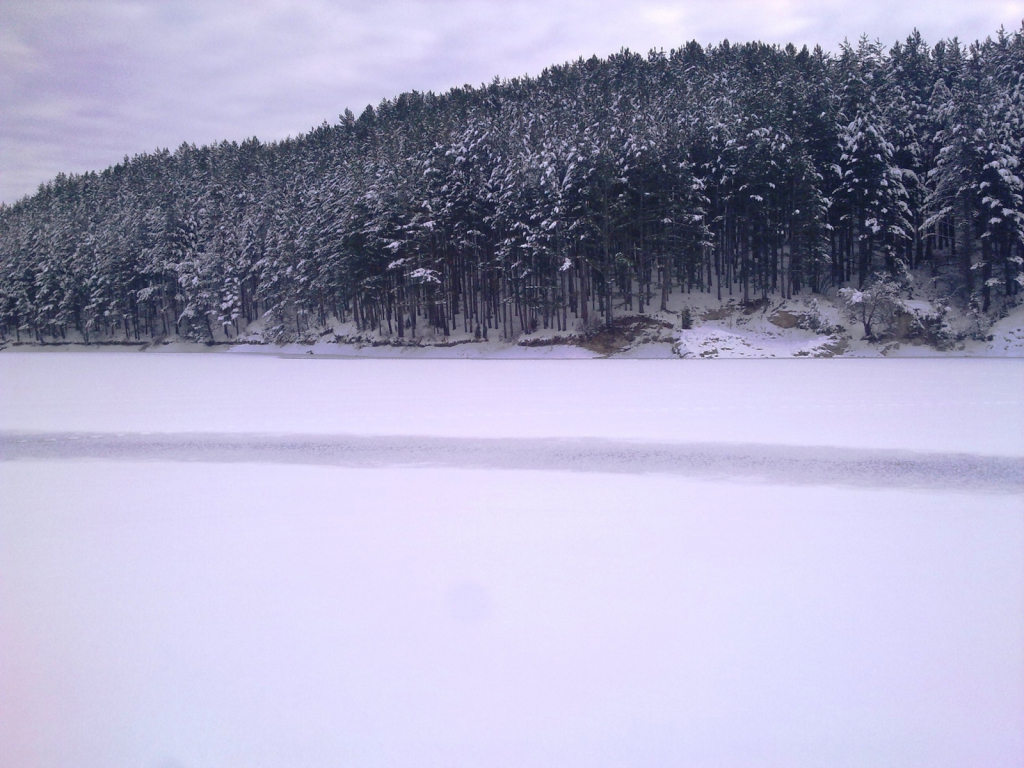 Алино 25.12.2011г.