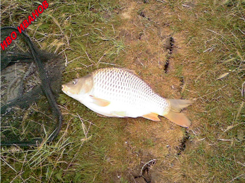 Photo-0029