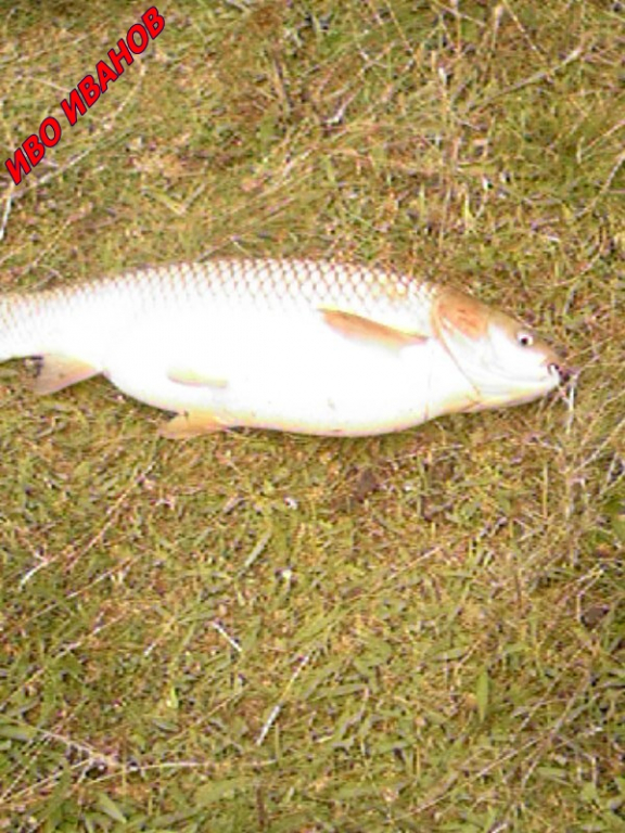 Photo-0033