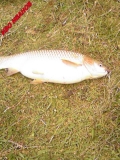 Photo-0033