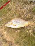 Photo-0044