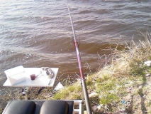 Photo-0047