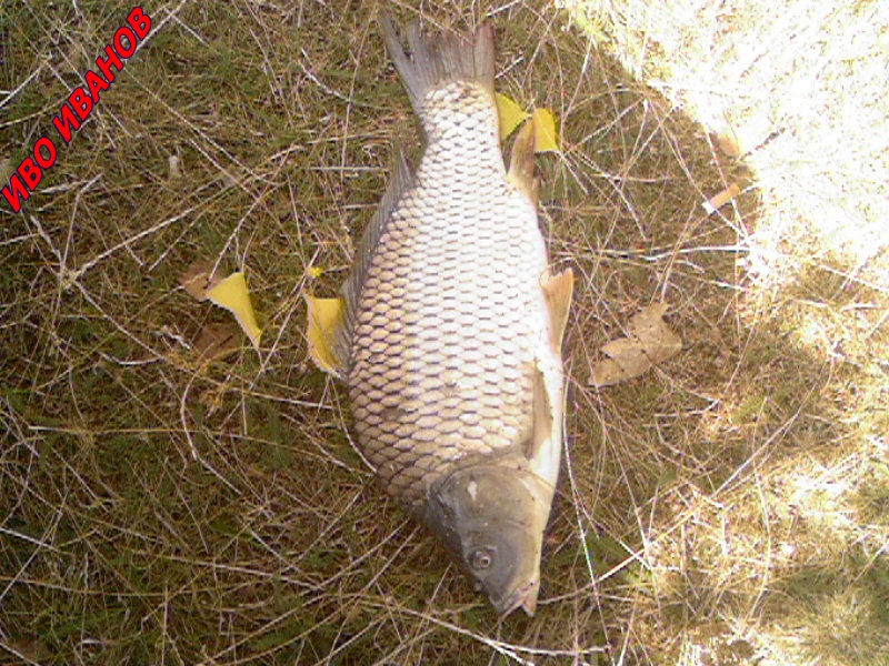 Photo-0055