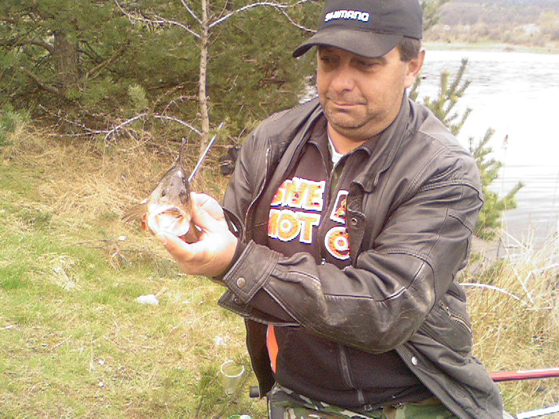 Photo-0071