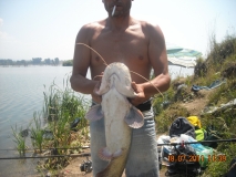 DSCN3462
