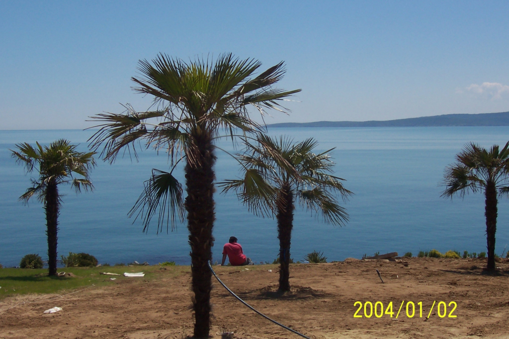 Picture 019