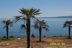 Picture 019