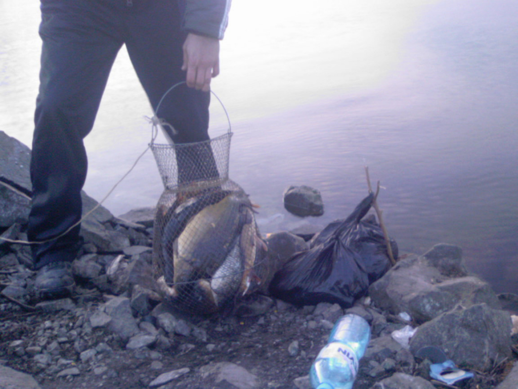 Photo-0640