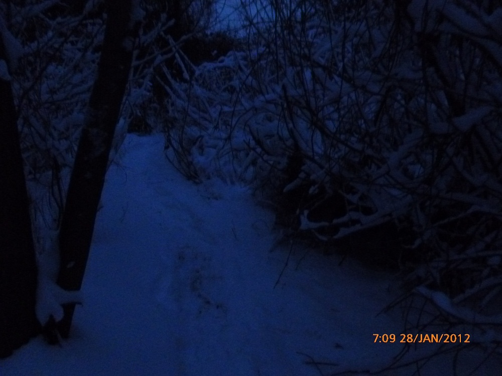 P1010786 - Копие.JPG