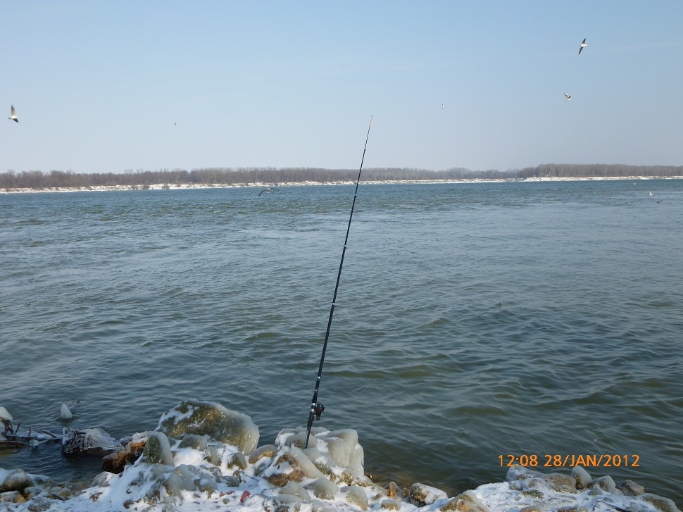 P1010812 - Копие.JPG