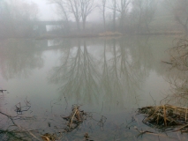 040120121958