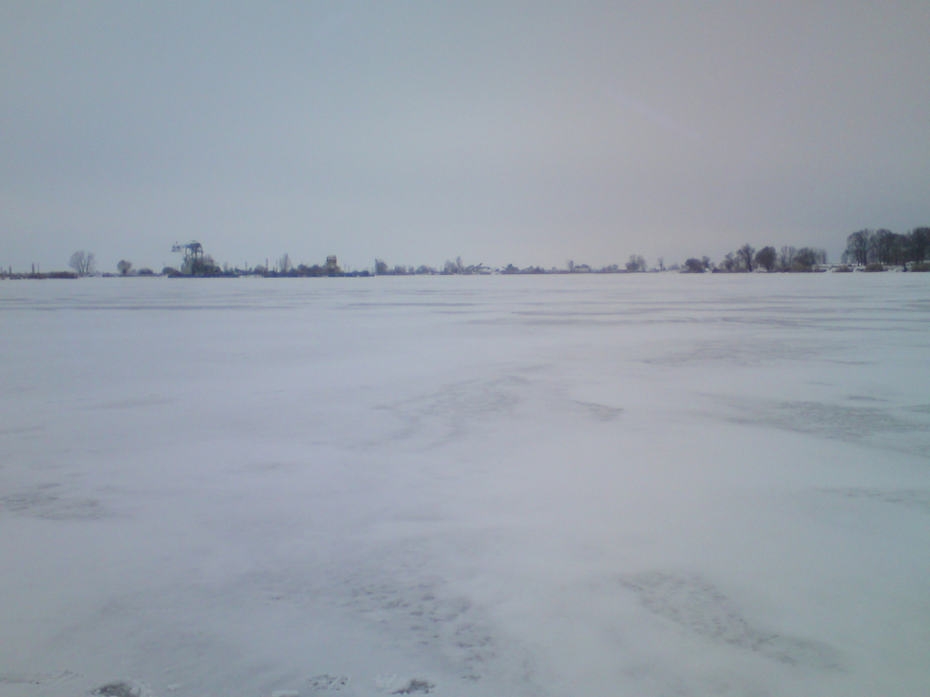 DSC03306