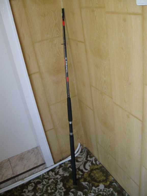 IMG 0775