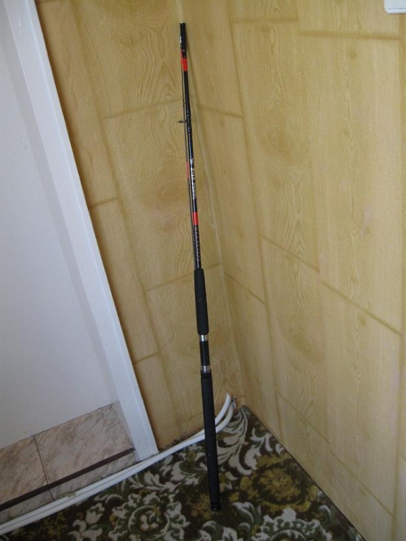 IMG 0776