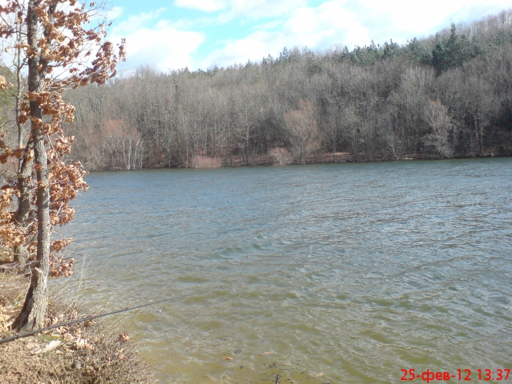 DSC01264
