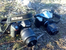 I'am Nikon!