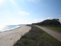 DSC06638