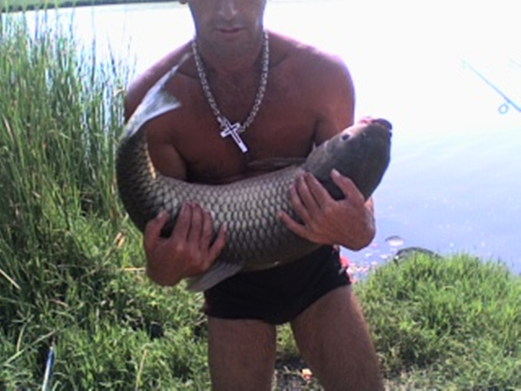 Photo0017 1