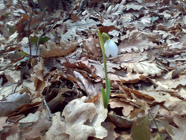 2012-03-11-2