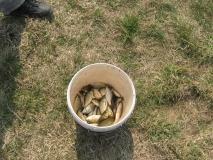 IMG 9796