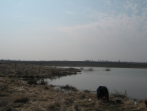 IMG 9794