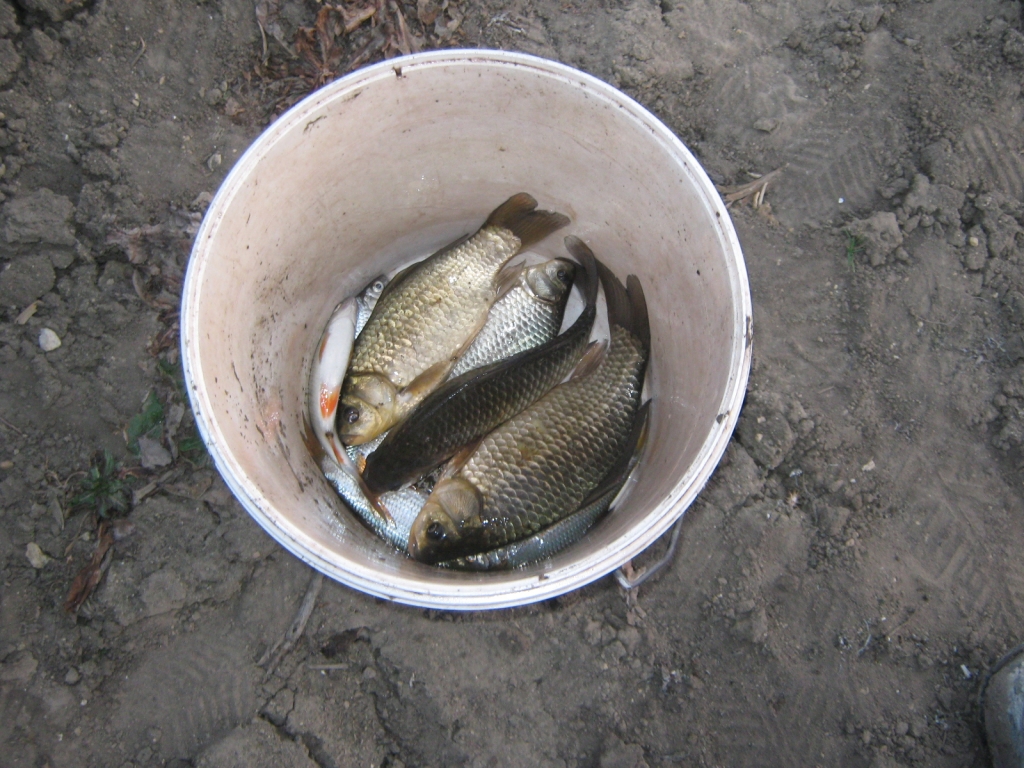 IMG 9815
