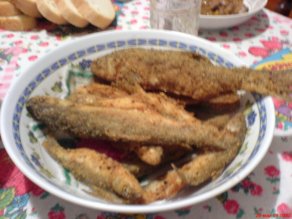 DSC00040