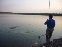 Крум2.JPG