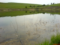 DSC00063