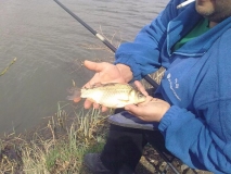 Засмяново - 06.04.2012г.