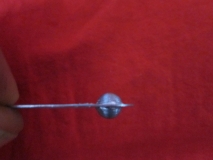 cicad