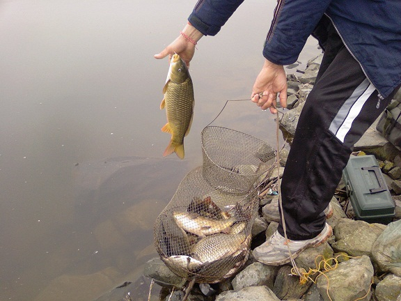 Photo-0405