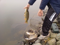 Photo-0405