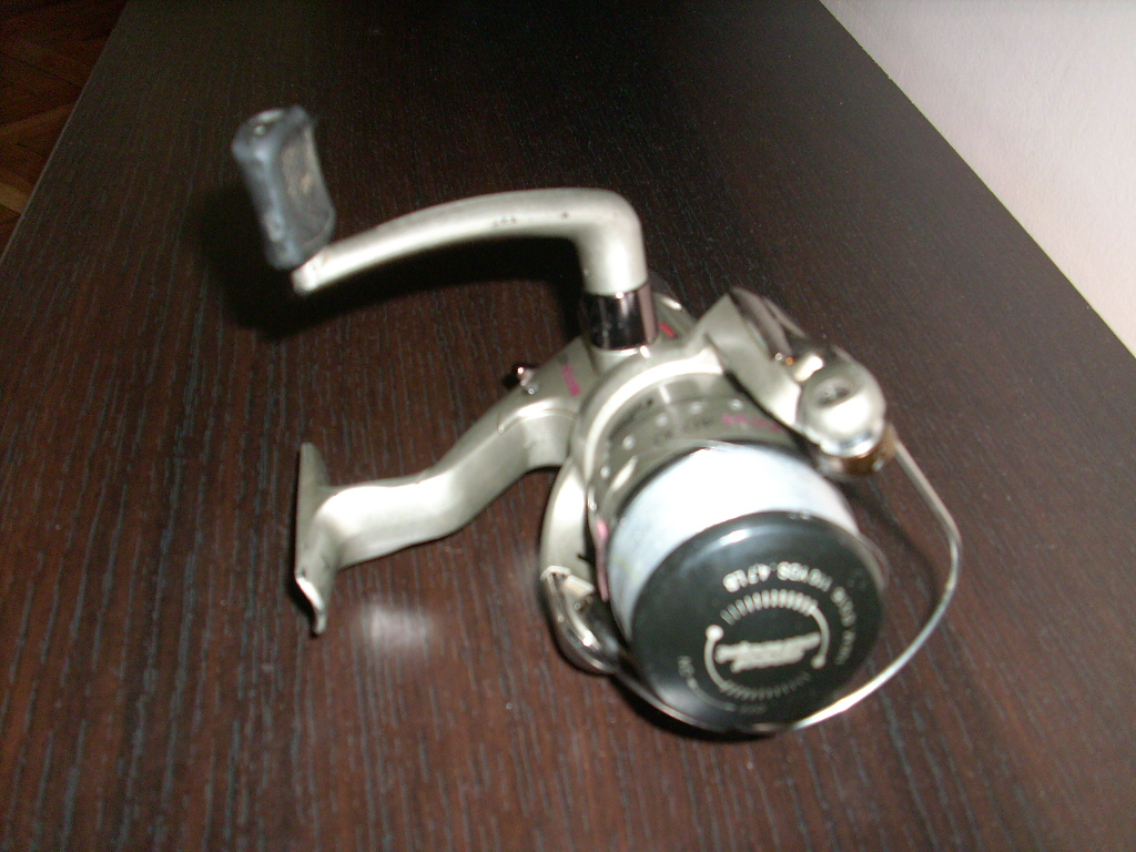 DSCI0784