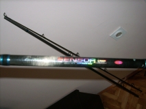 DSCI0789