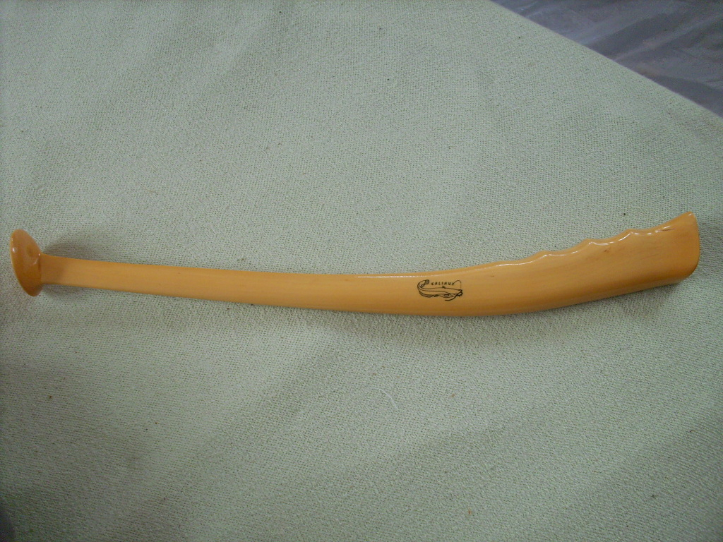 DSCI0105