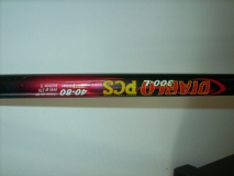 DSCI0796