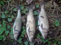 http://media.snimka.bg/6257/018768646.jpg?r=0