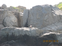 Fishing- no fish 22.05.2012 012
