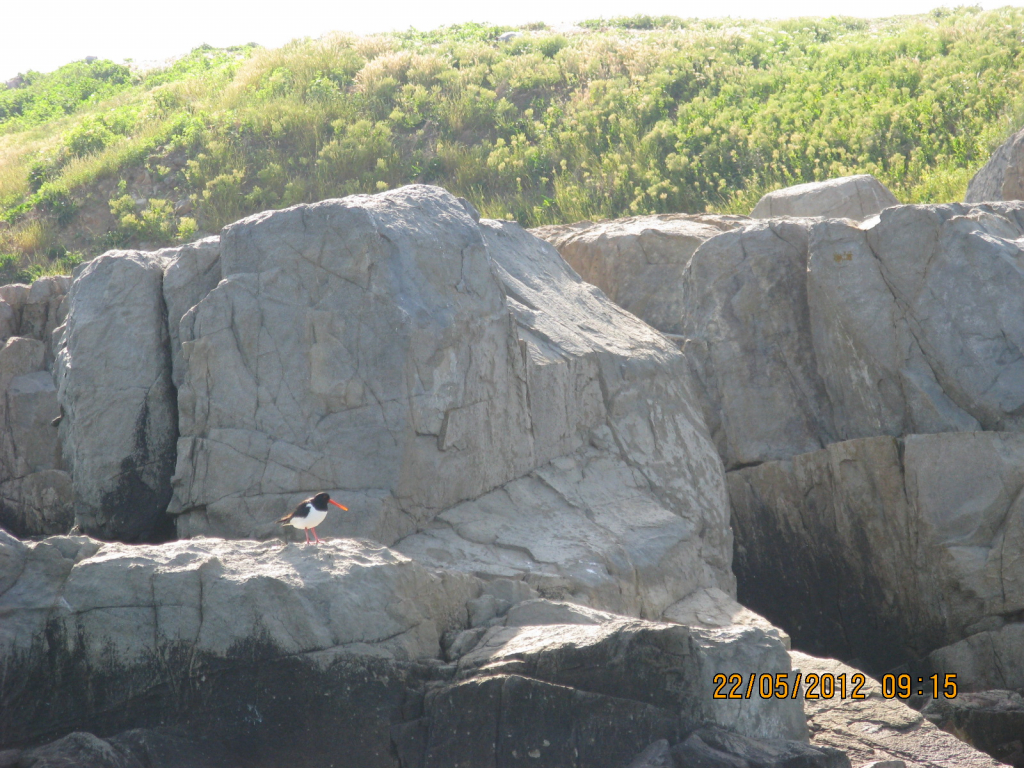 Fishing- no fish 22.05.2012 014