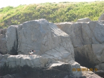 Fishing- no fish 22.05.2012 014