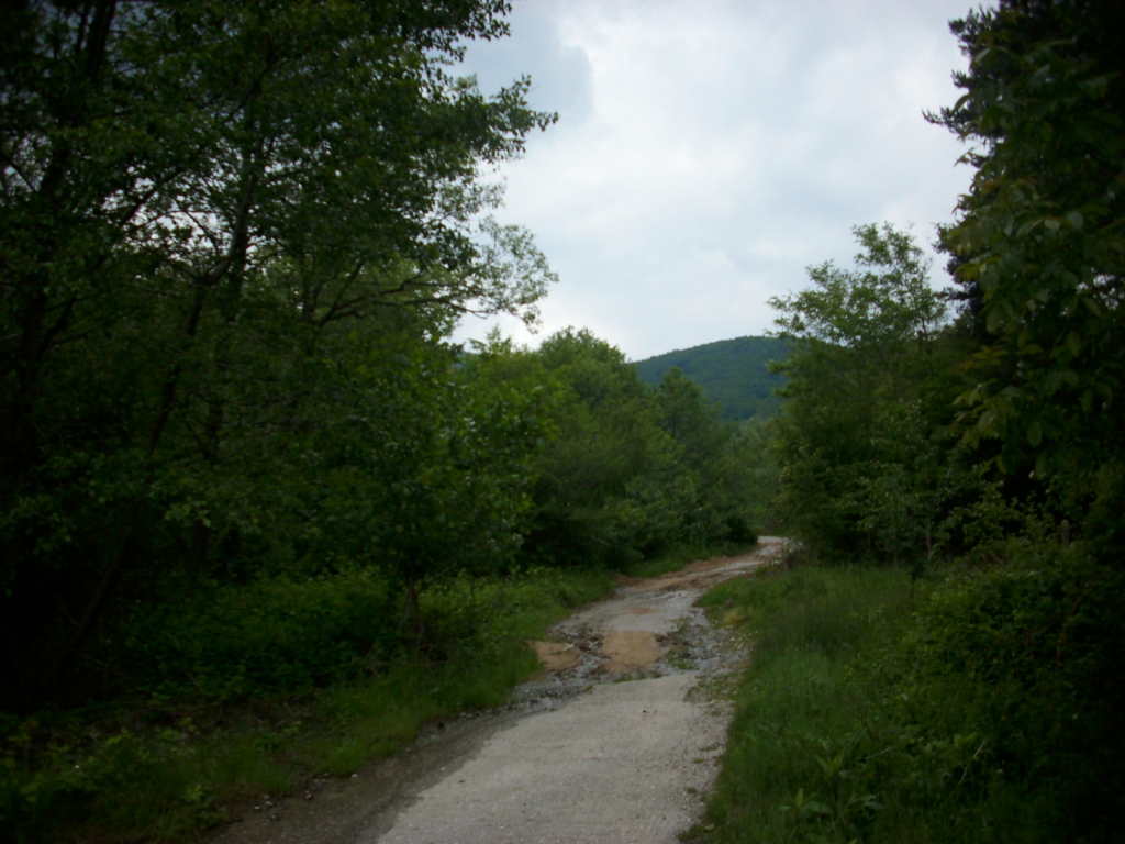 IMG 1545