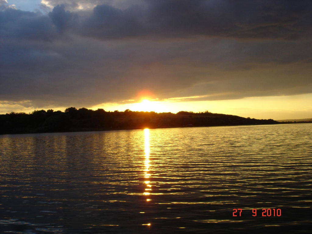 DSC03705