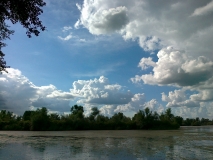 Picture 001