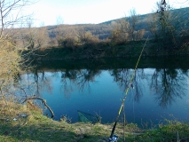 Picture 002