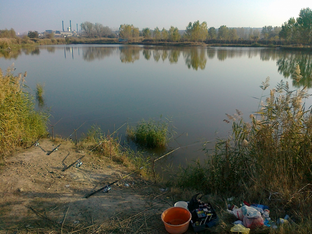 Picture 011