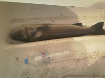 28690Photo-0006-med